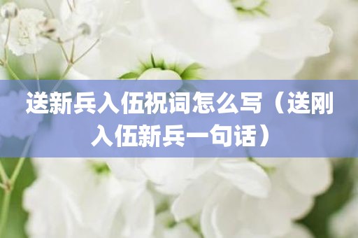 送新兵入伍祝词怎么写（送刚入伍新兵一句话）