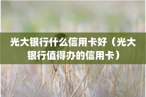 光大银行什么信用卡好（光大银行值得办的信用卡）