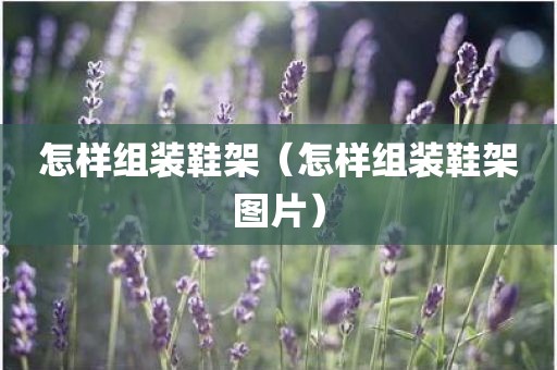 怎样组装鞋架（怎样组装鞋架图片）