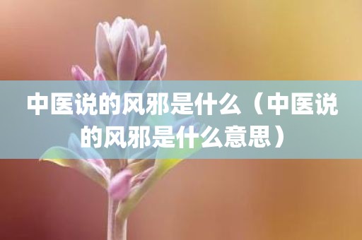 中医说的风邪是什么（中医说的风邪是什么意思）