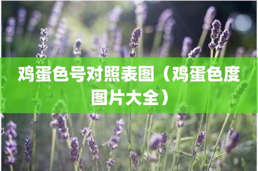 鸡蛋色号对照表图（鸡蛋色度图片大全）