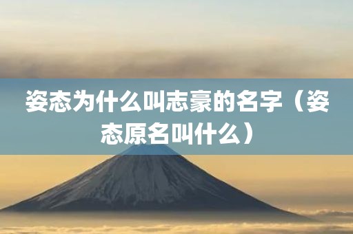 姿态为什么叫志豪的名字（姿态原名叫什么）