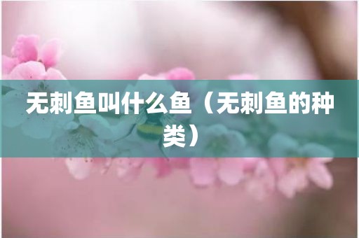 无刺鱼叫什么鱼（无刺鱼的种类）