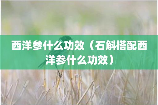 西洋参什么功效（石斛搭配西洋参什么功效）