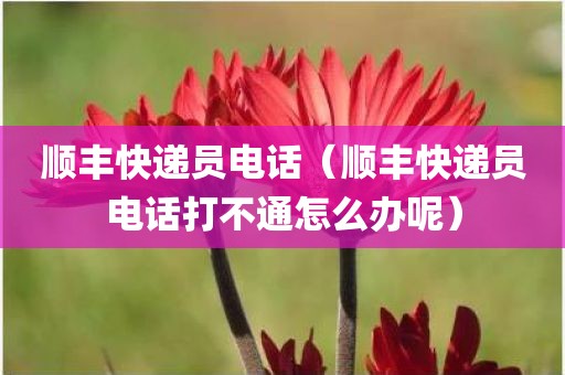 顺丰快递员电话（顺丰快递员电话打不通怎么办呢）