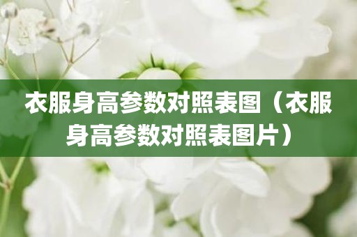 衣服身高参数对照表图（衣服身高参数对照表图片）