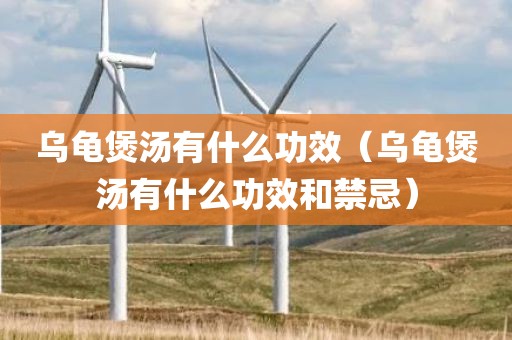 乌龟煲汤有什么功效（乌龟煲汤有什么功效和禁忌）