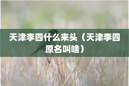 天津李四什么来头（天津李四原名叫啥）