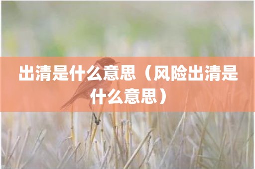出清是什么意思（风险出清是什么意思）