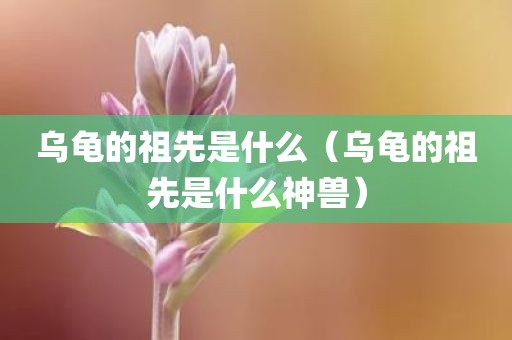 乌龟的祖先是什么（乌龟的祖先是什么神兽）