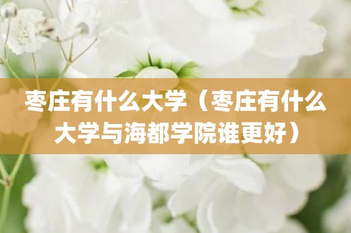 枣庄有什么大学（枣庄有什么大学与海都学院谁更好）