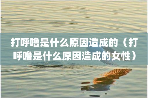 打呼噜是什么原因造成的（打呼噜是什么原因造成的女性）