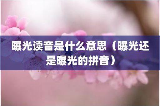 曝光读音是什么意思（曝光还是曝光的拼音）