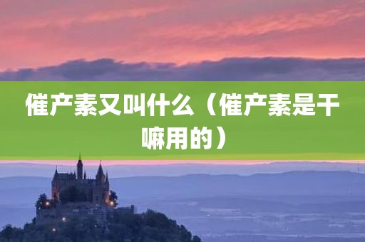 催产素又叫什么（催产素是干嘛用的）