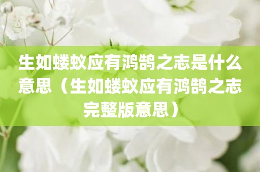 生如蝼蚁应有鸿鹄之志是什么意思（生如蝼蚁应有鸿鹄之志完整版意思）