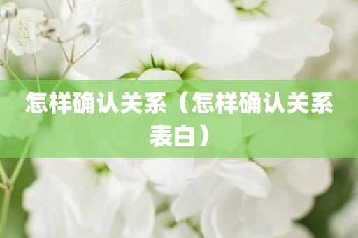 怎样确认关系（怎样确认关系表白）