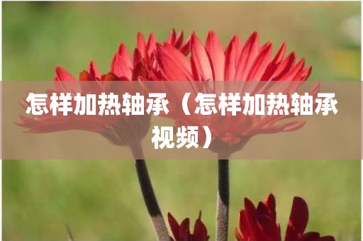 怎样加热轴承（怎样加热轴承视频）