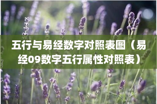 五行与易经数字对照表图（易经09数字五行属性对照表）