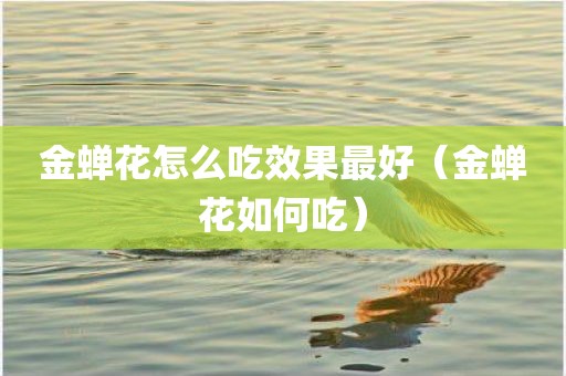 金蝉花怎么吃效果最好（金蝉花如何吃）