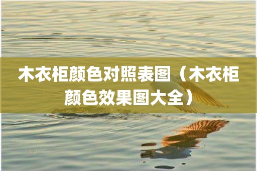 木衣柜颜色对照表图（木衣柜颜色效果图大全）