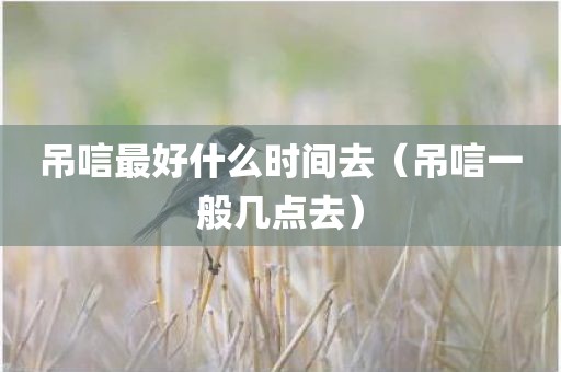 吊唁最好什么时间去(吊唁一般几点去) 吊唁最好什么时间去(吊唁一般几点去)