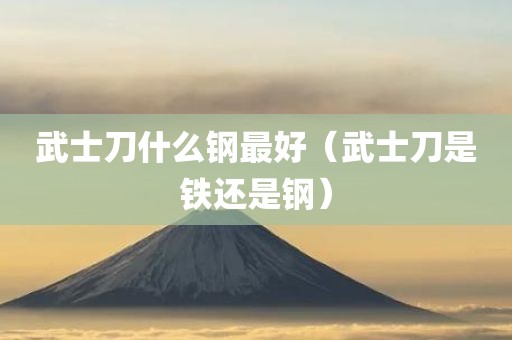 武士刀什么钢最好（武士刀是铁还是钢）