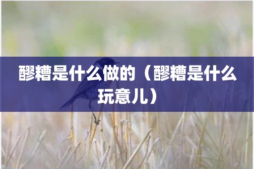 醪糟是什么做的（醪糟是什么玩意儿）