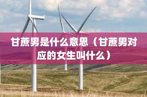 甘蔗男是什么意思（甘蔗男对应的女生叫什么）
