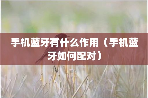 手机蓝牙有什么作用（手机蓝牙如何配对）