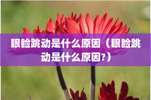 眼睑跳动是什么原因（眼睑跳动是什么原因?）