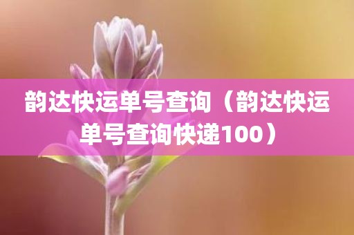 韵达快运单号查询（韵达快运单号查询快递100）