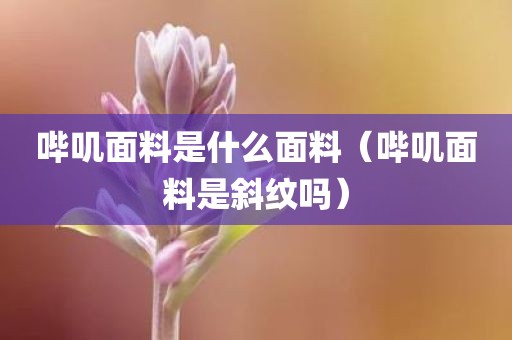 哔叽面料是什么面料（哔叽面料是斜纹吗）