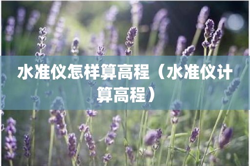 水准仪怎样算高程（水准仪计算高程）