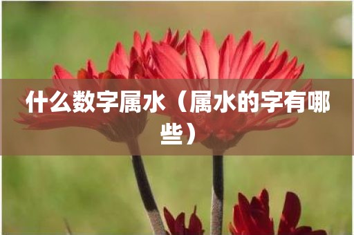 什么数字属水（属水的字有哪些）