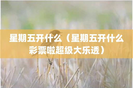 星期五开什么（星期五开什么彩票啦超级大乐透）