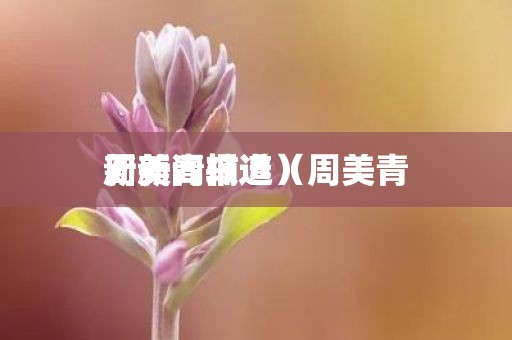 周美青辅选(周美青
新新闻报道)