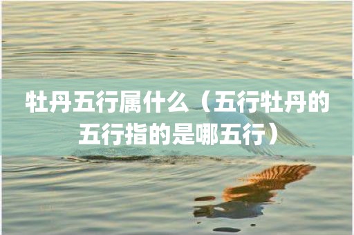 牡丹五行属什么（五行牡丹的五行指的是哪五行）