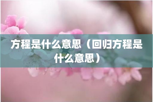 方程是什么意思（回归方程是什么意思）
