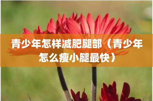 青少年怎样减肥腿部（青少年怎么瘦小腿最快）