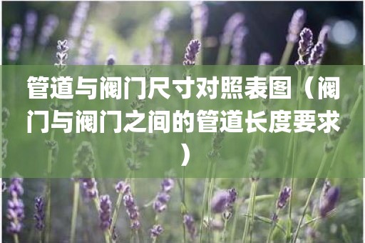 管道与阀门尺寸对照表图（阀门与阀门之间的管道长度要求）