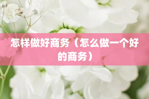 怎样做好商务（怎么做一个好的商务）