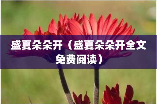 盛夏朵朵开（盛夏朵朵开全文免费阅读）