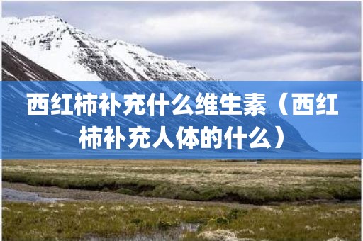 西红柿补充什么维生素（西红柿补充人体的什么）