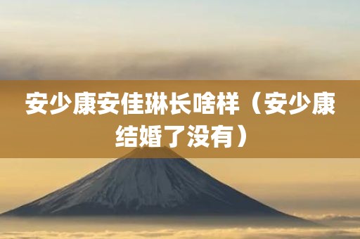 安少康安佳琳长啥样（安少康结婚了没有）
