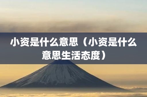 小资是什么意思（小资是什么意思生活态度）