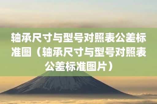 轴承尺寸与型号对照表公差标准图（轴承尺寸与型号对照表公差标准图片）
