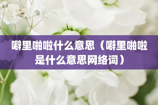 噼里啪啦什么意思（噼里啪啦是什么意思网络词）