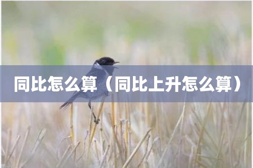 同比怎么算（同比上升怎么算）