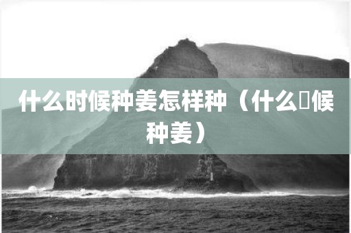 什么时候种姜怎样种（什么吋候种姜）