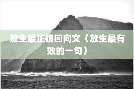 放生最正确回向文（放生最有效的一句）